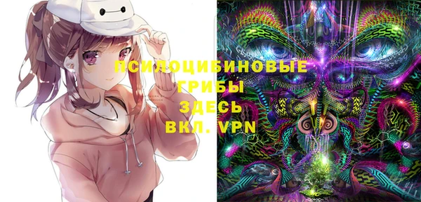 apvp Арсеньев
