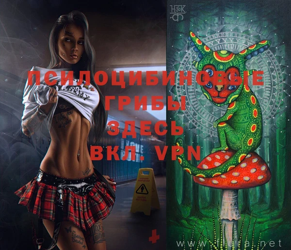 apvp Аркадак