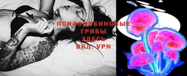 apvp Арсеньев
