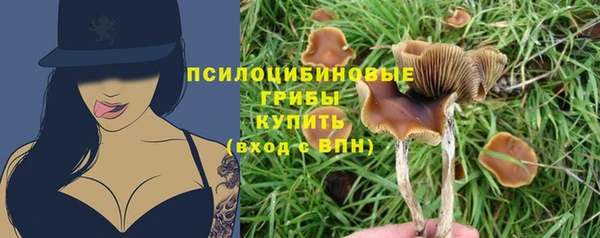 apvp Арсеньев
