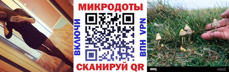 Псилоцибиновые грибы мицелий  MEGA ТОР  Петухово 